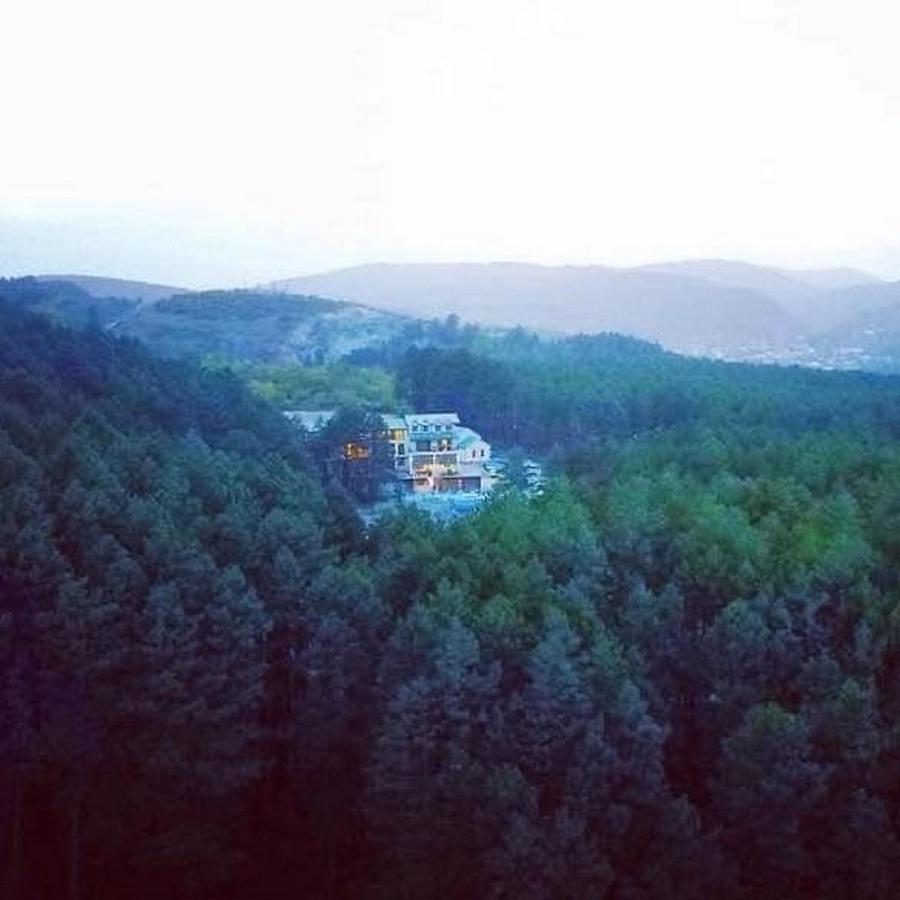 Hotel Surami Zewnętrze zdjęcie