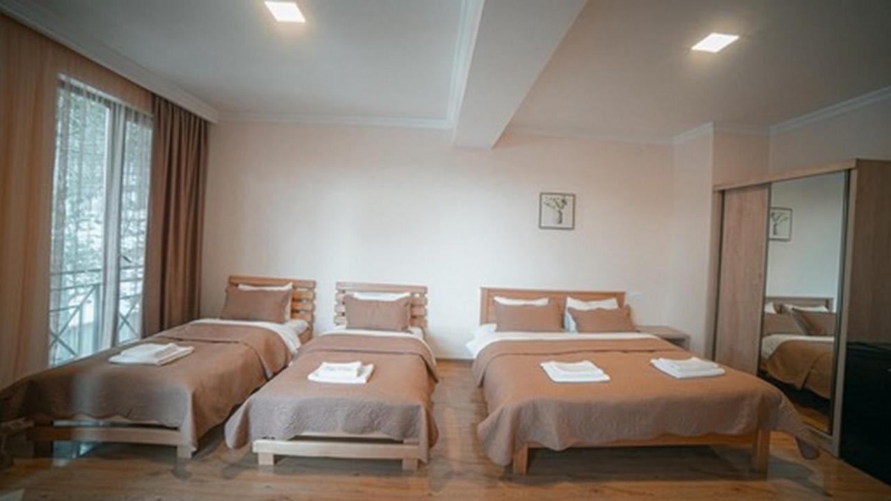 Hotel Surami Zewnętrze zdjęcie