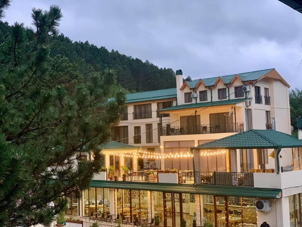 Hotel Surami Zewnętrze zdjęcie