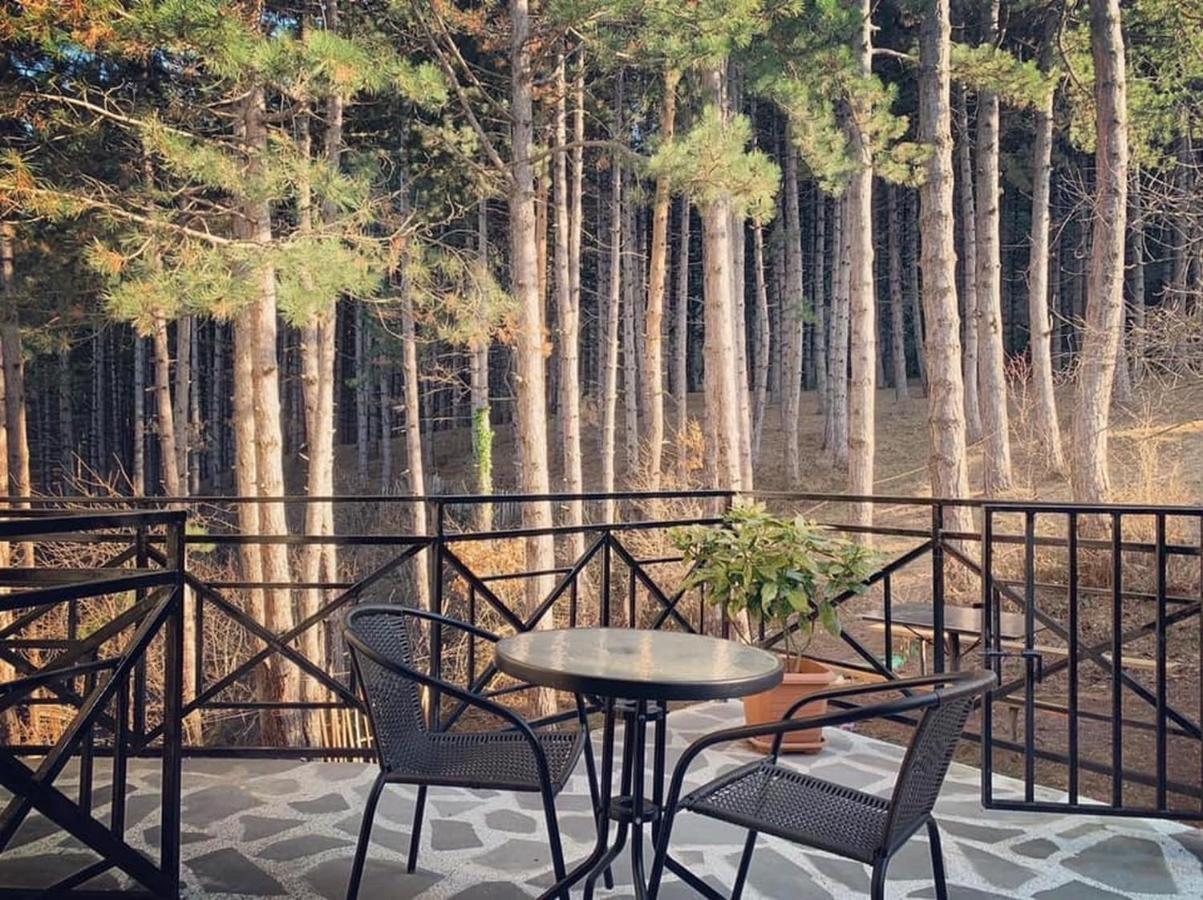 Hotel Surami Zewnętrze zdjęcie